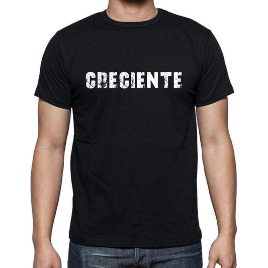 Creciente Mens Short Sleeve Round Neck T-Shirt - Casual