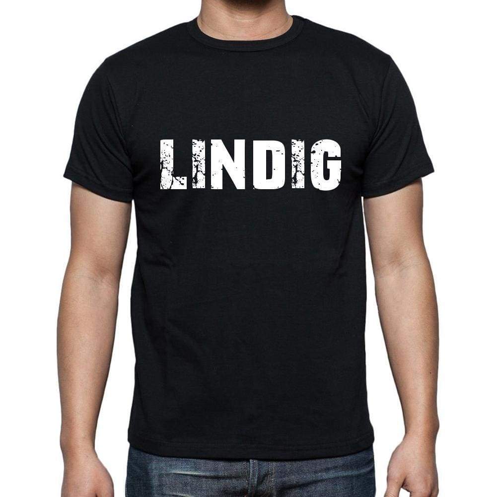 Lindig Mens Short Sleeve Round Neck T-Shirt 00003 - Casual