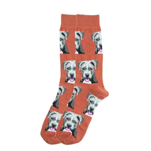 Happy chaussettes mode Hip Hop Skateboard chaussettes coton dessin animé requin cochon chien nourriture Hamburger Pizza Sushi drôle hommes femmes Calcetines