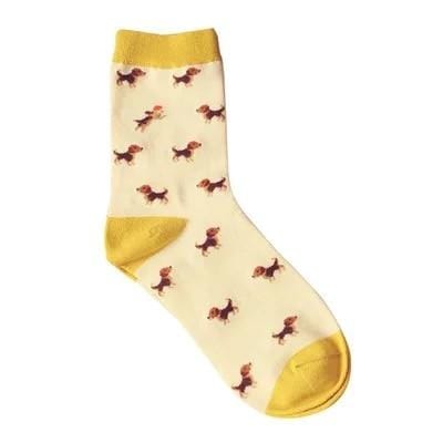 Adult Size Lovely Daily Animal Weel Socks Watermelon Dachshund Beagle Lion Farm Bull Terrier Elephant Fox Pill Fruit Dog Combo