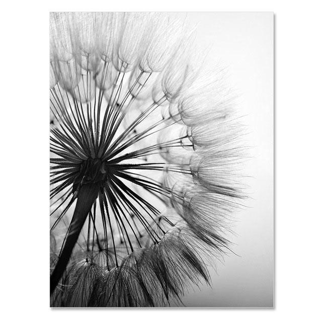 Dandelion Flower Canvas Painting Modern Black White Art Pictures for Home Decoration Living Room Abstract Wall Poster No Frame