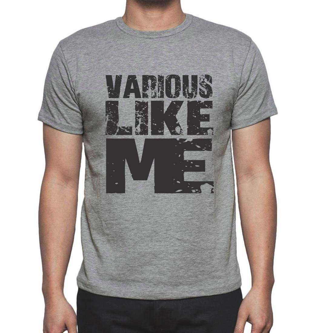 Various Like Me Grey Mens Short Sleeve Round Neck T-Shirt - Grey / S - Casual